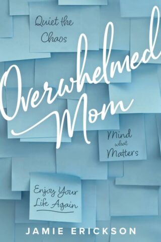 9780802427984 Overwhelmed Mom : Quiet The Chaos