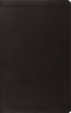 9798874903381 Value Thinline Bible