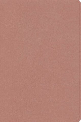 9798384533603 Study Bible Personal Size
