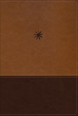 9780829774375 Chronological Study Bible Comfort Print