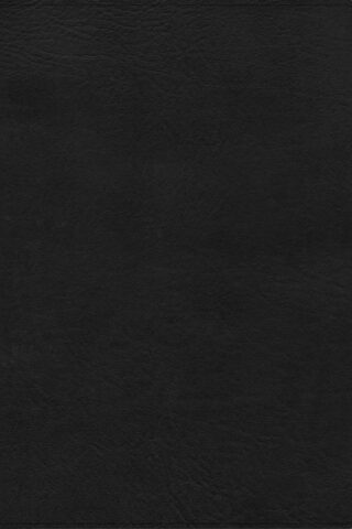 9798384526230 Study Bible Large Print Digital Study Edition