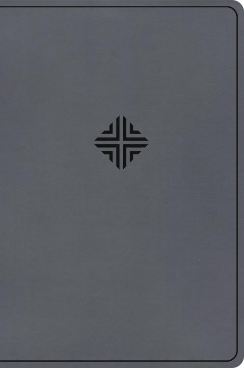 9798384517535 Large Print Thinline Bible Value Edition