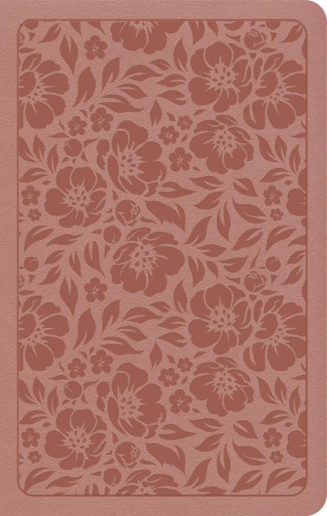 9798384525363 Personal Size Bible