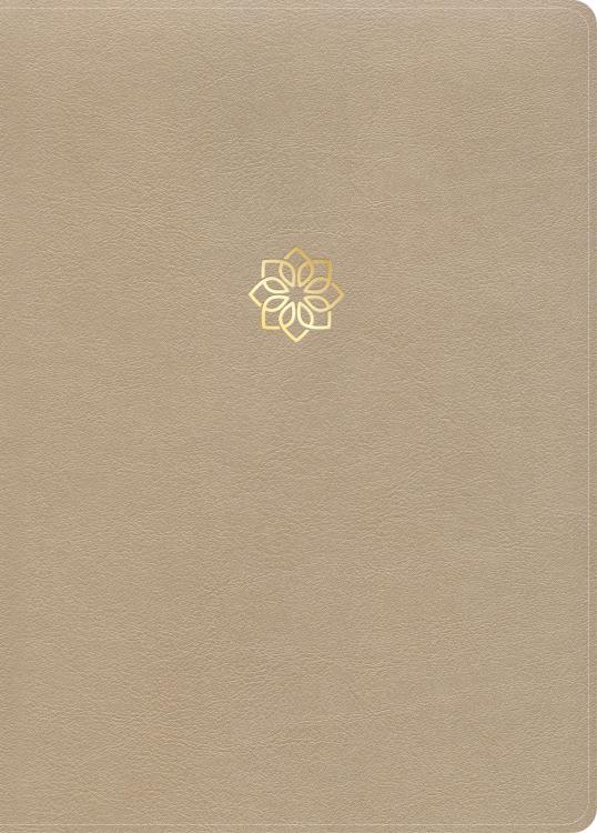 9798384526216 Study Bible Large Print Digital Study Edition