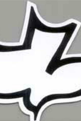 854749001442 Dove (Magnet)