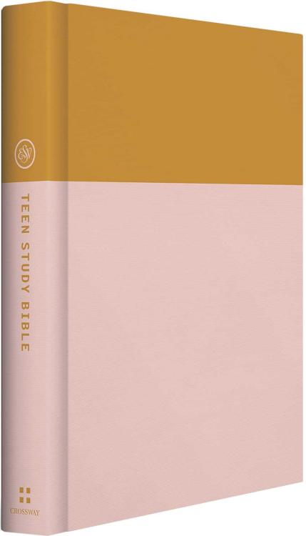 9781433590481 Teen Study Bible