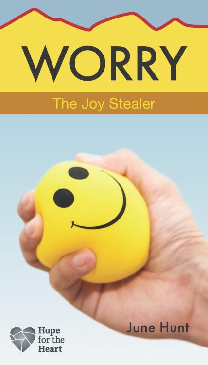 9781628629842 Worry : The Joy Stealer