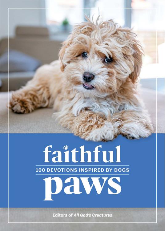 9781961442559 Faithful Paws : 100 Devotions Inspired By Dogs