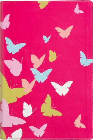 9798384509806 1 Big Story Bible