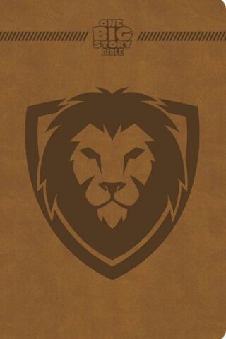 9798384517573 1 Big Story Bible
