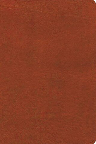 9798384523550 Study Bible Personal Size Digital Study Edition