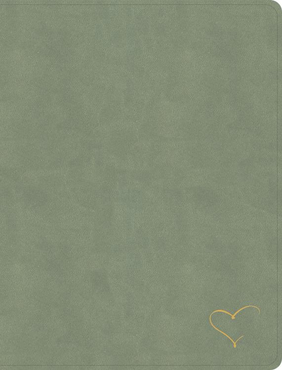 9798384523574 Notetaking Bible Large Print Revive Our Hearts Edition