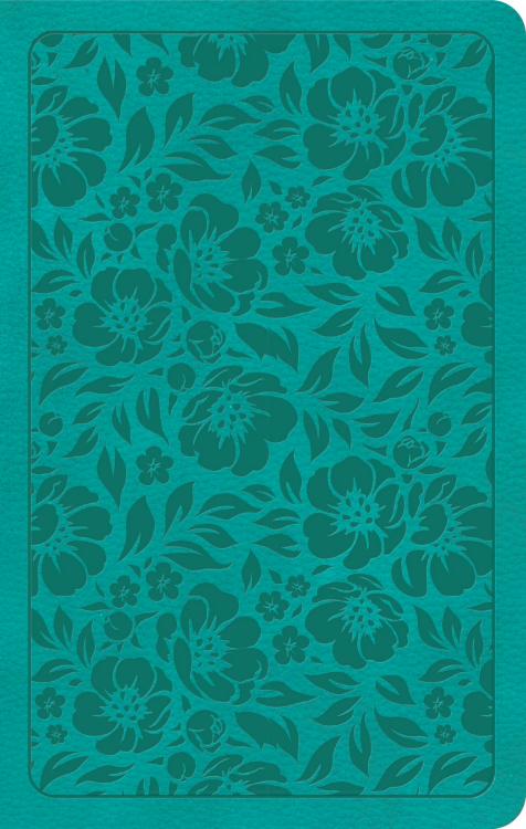 9798384525301 Personal Size Bible