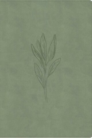 9798384525417 Super Giant Print Reference Bible