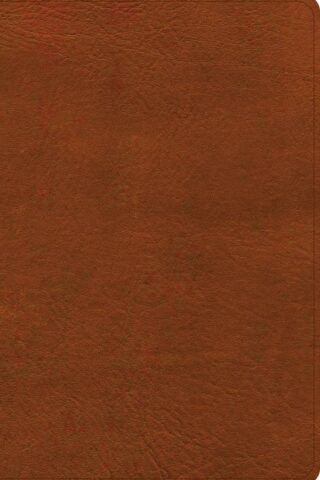 9798384532033 Personal Size Giant Print Bible