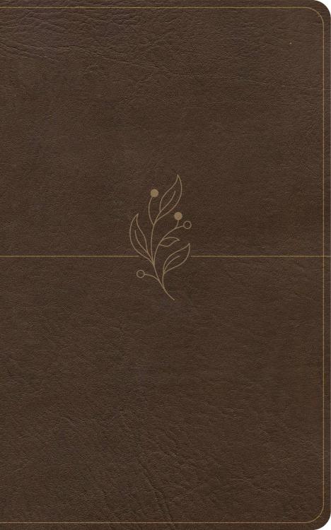 9798384533467 Single Column Compact Bible Digital Study Edition