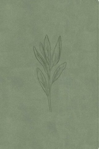 9798384533641 Thinline Bible