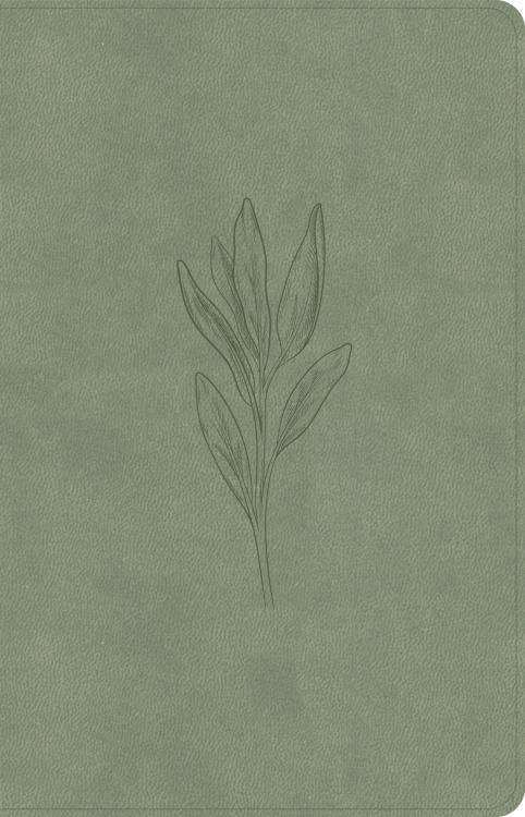 9798384533641 Thinline Bible