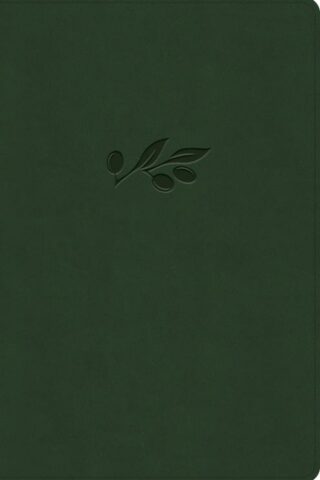 9798384533689 Giant Print Reference Bible