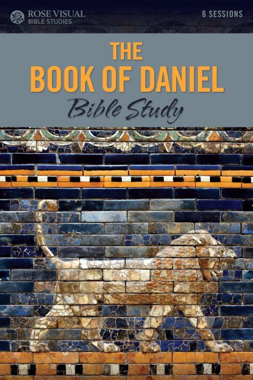 9798400504969 Book Of Daniel Bible Study