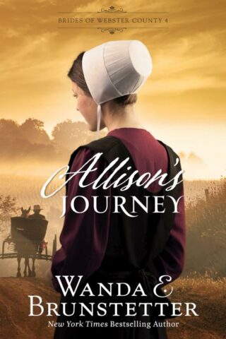 9798891510999 Allisons Journey