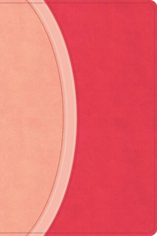 9798384534228 Rainbow Study Bible Limited Edition