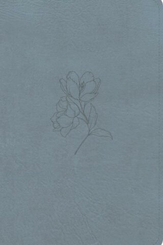 9798384540427 Personal Size Bible Digital Study Edition