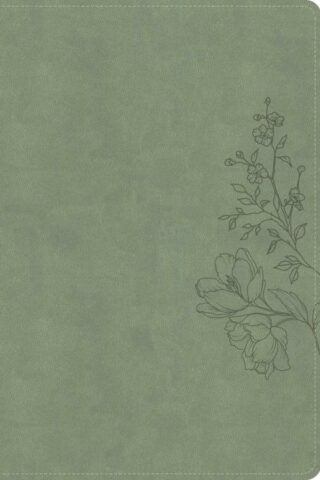 9798384540762 Large Print Thinline Bible Digital Study Edition